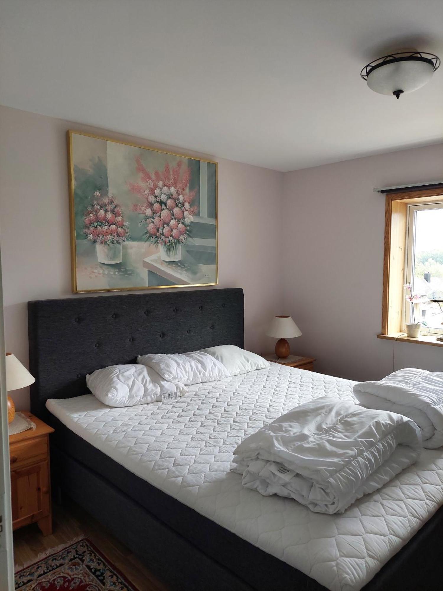 Villa Med Sjoutsikt Immeln Екстериор снимка
